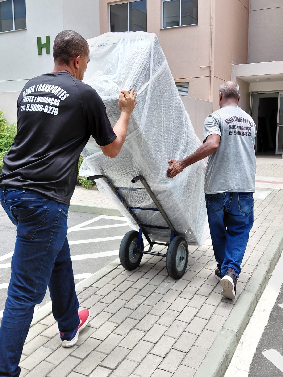 bahia-transportesg815.jpeg